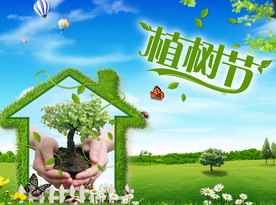 3.12ֲ��(sh��)��(ji��)���Ɂ�(l��i)�����ĺ��x������Щ��